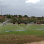 A resposta está nas fotos